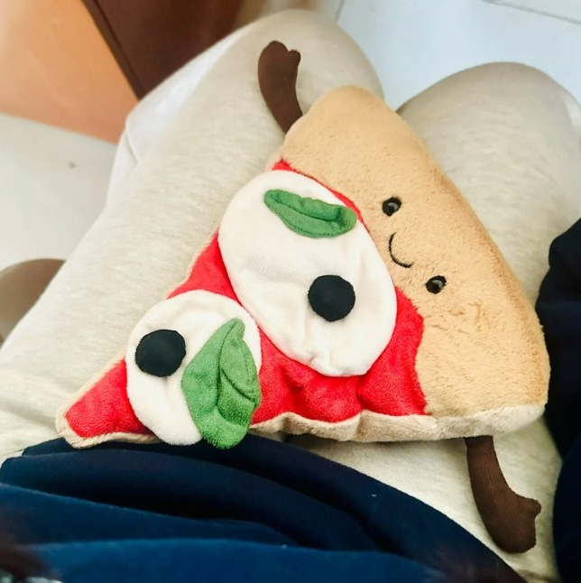 Hamburger pizza ornament cadea - Home And Textiles Today recensie en prijs